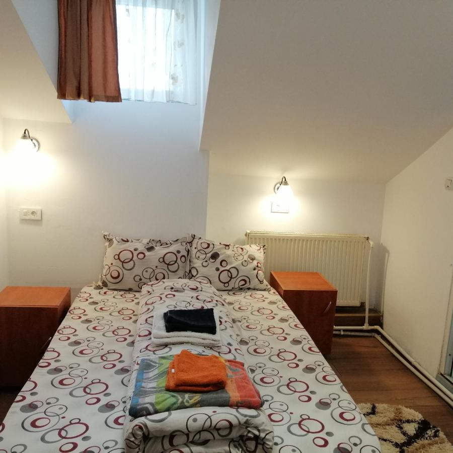 Vila Elly Piatra Neamţ Zewnętrze zdjęcie